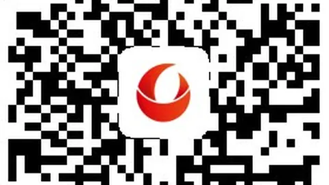猛龙王朝崛起特伦斯罗斯见证新篇章，两连冠成历史绝唱